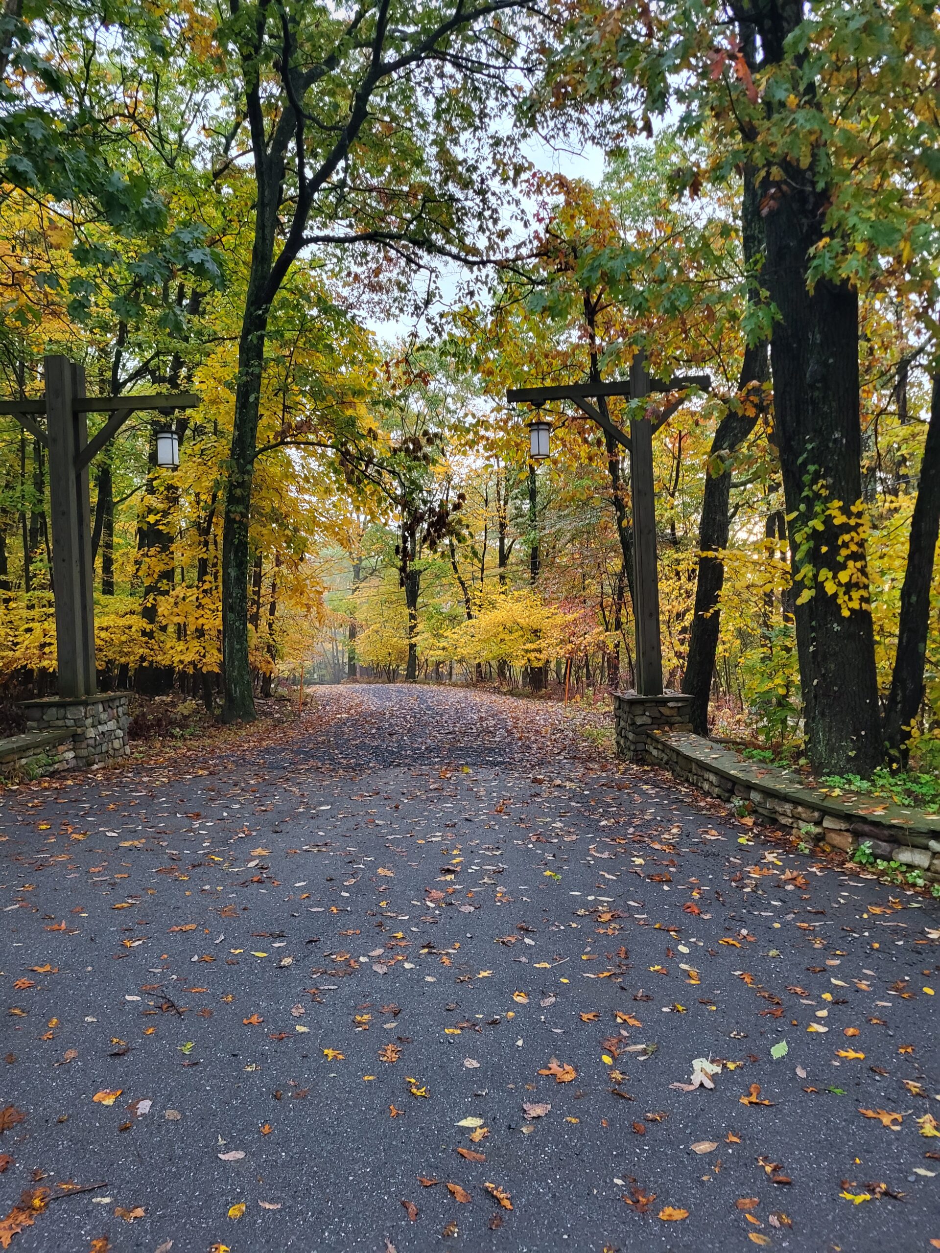 A road through the Kirkridge woods as the leaves turn.