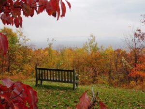 An empty wooden bench sits under a tree with bright red leaves, overlooking an autumnal landscape.