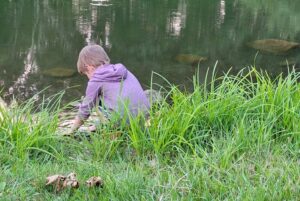 A child in a purple sweatshirt plays in long grass by a pond.