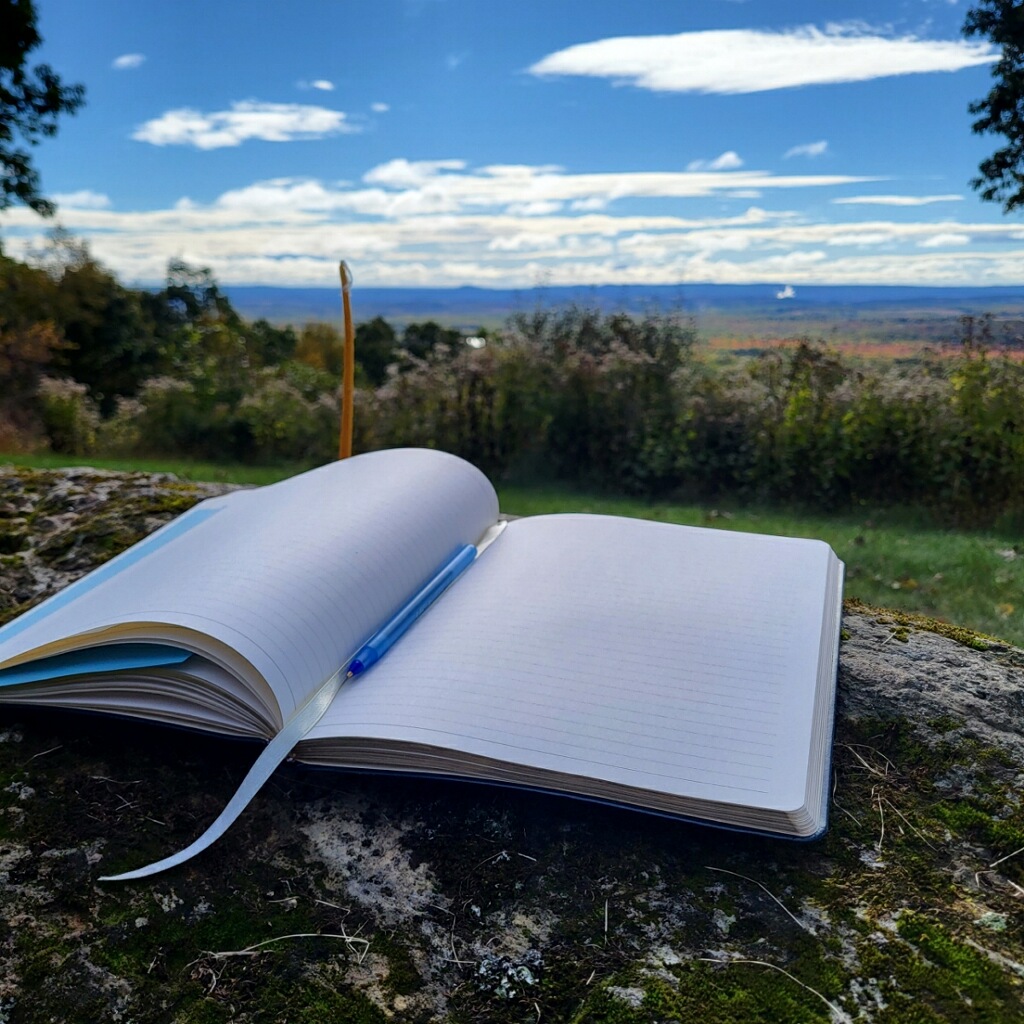 A book with blank pages lies open on a mossy stone overlooking trees and a wide blue sky.