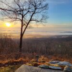 A single bare tree in the foreground before an early winter landscape.